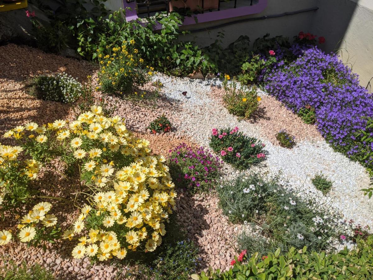 Nel Giardino Di Oz Bed & Breakfast Fornovo di Taro Eksteriør bilde